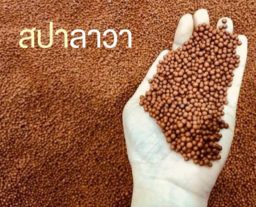 ทำสปาหินภูเขาไฟลาวาญี่ปุ่น ผ่อนคลายร่างกาย ลดความอ่อนล้า เผาผลาญไขมัน